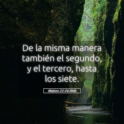 Picture 05 - Mateo 22:26 RVA - De la misma manera también el segundo, y el - Bible Verse Picture