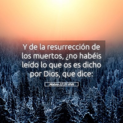 Picture 05 - Mateo 22:31 RVA - Y de la resurrección de los muertos, ¿no - Bible Verse Picture