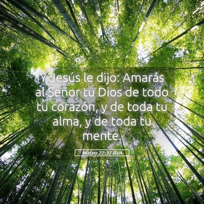 Picture 05 - Mateo 22:37 RVA - Y Jesús le dijo: Amarás al Señor tu Dios de - Bible Verse Picture