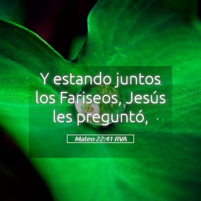 Picture 05 - Mateo 22:41 RVA - Y estando juntos los Fariseos, Jesús les - Bible Verse Picture