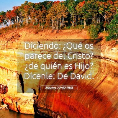 Picture 05 - Mateo 22:42 RVA - Diciendo: ¿Qué os parece del Cristo? ¿de - Bible Verse Picture