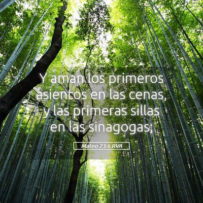 Picture 05 - Mateo 23:6 RVA - Y aman los primeros asientos en las cenas, y las - Bible Verse Picture