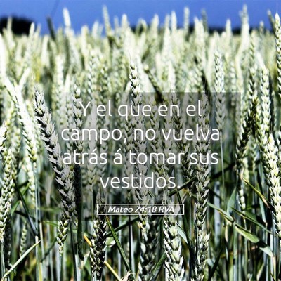 Picture 05 - Mateo 24:18 RVA - Y el que en el campo, no vuelva atrás á tomar - Bible Verse Picture