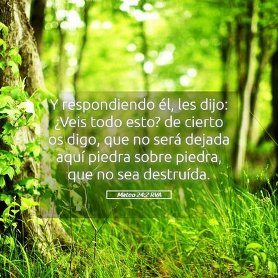 Picture 05 - Mateo 24:2 RVA - Y respondiendo él, les dijo: ¿Veis todo esto? - Bible Verse Picture