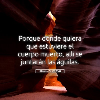 Picture 05 - Mateo 24:28 RVA - Porque donde quiera que estuviere el cuerpo - Bible Verse Picture