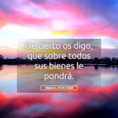 Picture 05 - Mateo 24:47 RVA - De cierto os digo, que sobre todos sus bienes le - Bible Verse Picture