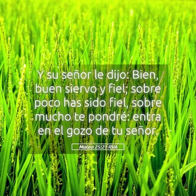 Picture 05 - Mateo 25:21 RVA - Y su señor le dijo: Bien, buen siervo y fiel; - Bible Verse Picture