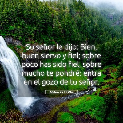 Picture 05 - Mateo 25:23 RVA - Su señor le dijo: Bien, buen siervo y fiel; - Bible Verse Picture
