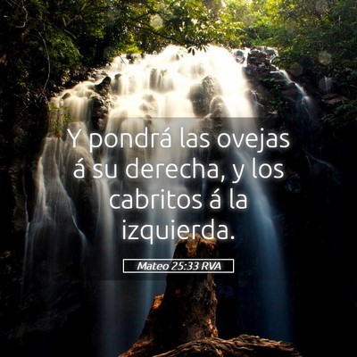 Picture 05 - Mateo 25:33 RVA - Y pondrá las ovejas á su derecha, y los - Bible Verse Picture