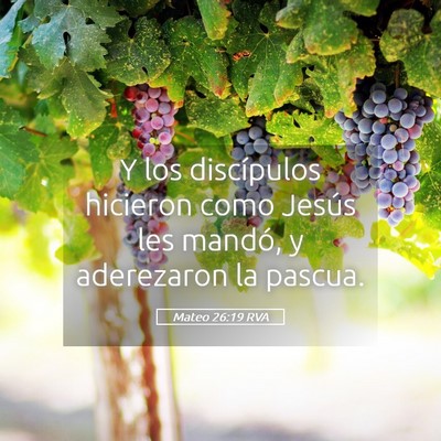 Picture 05 - Mateo 26:19 RVA - Y los discípulos hicieron como Jesús les - Bible Verse Picture
