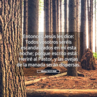 Picture 05 - Mateo 26:31 RVA - Entonces Jesús les dice: Todos vosotros seréis - Bible Verse Picture