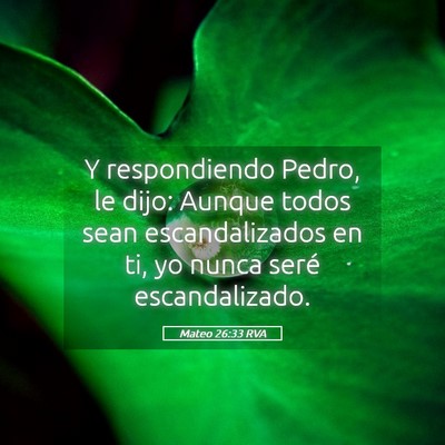 Picture 05 - Mateo 26:33 RVA - Y respondiendo Pedro, le dijo: Aunque todos sean - Bible Verse Picture