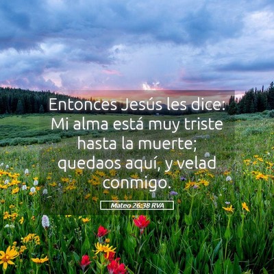 Picture 05 - Mateo 26:38 RVA - Entonces Jesús les dice: Mi alma está muy - Bible Verse Picture