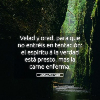 Picture 05 - Mateo 26:41 RVA - Velad y orad, para que no entréis en tentación: - Bible Verse Picture