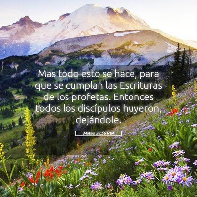 Picture 05 - Mateo 26:56 RVA - Mas todo esto se hace, para que se cumplan las - Bible Verse Picture