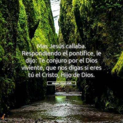 Picture 05 - Mateo 26:63 RVA - Mas Jesús callaba. Respondiendo el pontífice, - Bible Verse Picture