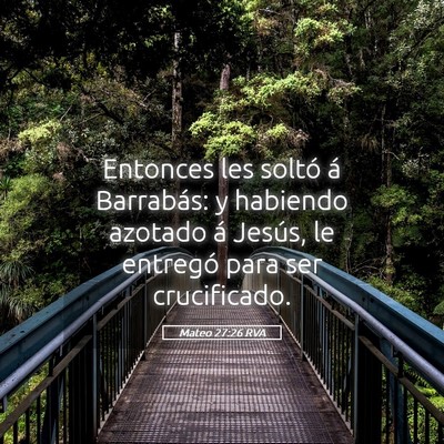 Picture 05 - Mateo 27:26 RVA - Entonces les soltó á Barrabás: y habiendo - Bible Verse Picture