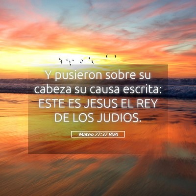 Picture 05 - Mateo 27:37 RVA - Y pusieron sobre su cabeza su causa escrita: ESTE - Bible Verse Picture