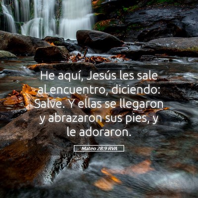Picture 05 - Mateo 28:9 RVA - He aquí, Jesús les sale al encuentro, diciendo: - Bible Verse Picture