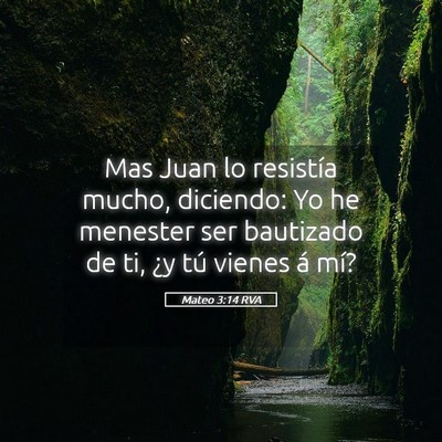 Picture 05 - Mateo 3:14 RVA - Mas Juan lo resistía mucho, diciendo: Yo he - Bible Verse Picture