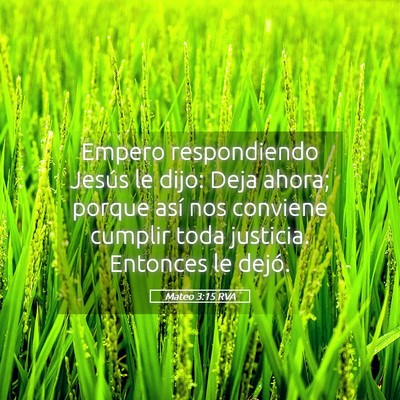 Picture 05 - Mateo 3:15 RVA - Empero respondiendo Jesús le dijo: Deja ahora; - Bible Verse Picture