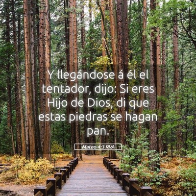 Picture 05 - Mateo 4:3 RVA - Y llegándose á él el tentador, dijo: Si eres - Bible Verse Picture
