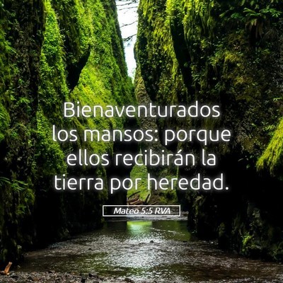 Picture 05 - Mateo 5:5 RVA - Bienaventurados los mansos: porque ellos - Bible Verse Picture