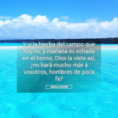 Picture 05 - Mateo 6:30 RVA - Y si la hierba del campo que hoy es, y mañana es - Bible Verse Picture