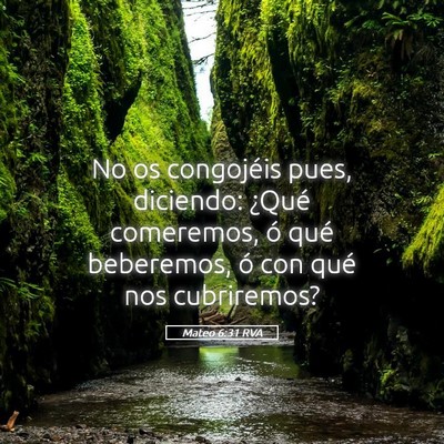 Picture 05 - Mateo 6:31 RVA - No os congojéis pues, diciendo: ¿Qué - Bible Verse Picture