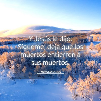 Picture 05 - Mateo 8:22 RVA - Y Jesús le dijo: Sígueme; deja que los muertos - Bible Verse Picture