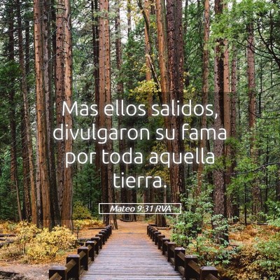 Picture 05 - Mateo 9:31 RVA - Mas ellos salidos, divulgaron su fama por toda - Bible Verse Picture