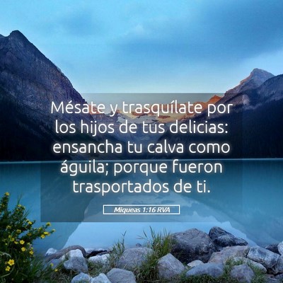 Picture 05 - Miqueas 1:16 RVA - Mésate y trasquílate por los hijos de tus - Bible Verse Picture