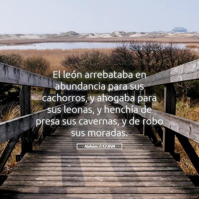 Picture 05 - Nahúm 2:12 RVA - El león arrebataba en abundancia para sus - Bible Verse Picture