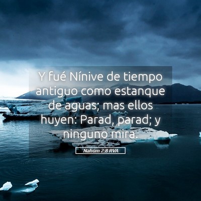 Picture 05 - Nahúm 2:8 RVA - Y fué Nínive de tiempo antiguo como estanque de - Bible Verse Picture