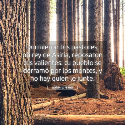 Picture 05 - Nahúm 3:18 RVA - Durmieron tus pastores, oh rey de Asiria, - Bible Verse Picture