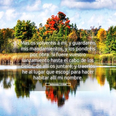 Picture 05 - Nehemías 1:9 RVA - Mas os volveréis á mí, y guardaréis mis - Bible Verse Picture