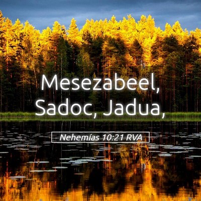 Picture 05 - Nehemías 10:21 RVA - Mesezabeel, Sadoc, - Bible Verse Picture
