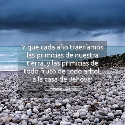 Picture 05 - Nehemías 10:35 RVA - Y que cada año traeríamos las primicias de - Bible Verse Picture