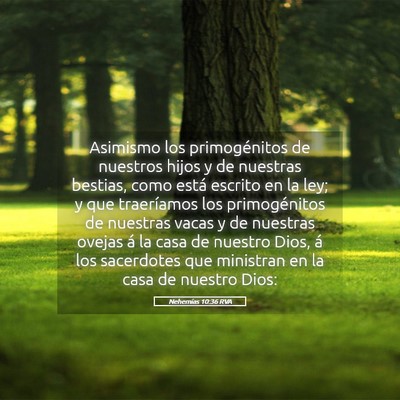 Picture 05 - Nehemías 10:36 RVA - Asimismo los primogénitos de nuestros hijos y de - Bible Verse Picture