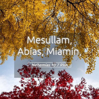 Picture 05 - Nehemías 10:7 RVA - Mesullam, Abías, - Bible Verse Picture