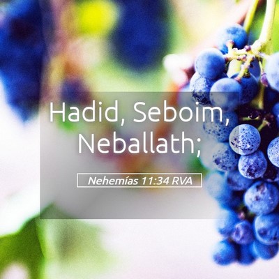 Picture 05 - Nehemías 11:34 RVA - Hadid, Seboim, - Bible Verse Picture