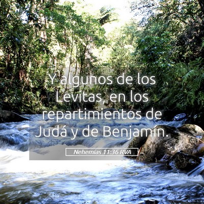 Picture 05 - Nehemías 11:36 RVA - Y algunos de los Levitas, en los repartimientos - Bible Verse Picture
