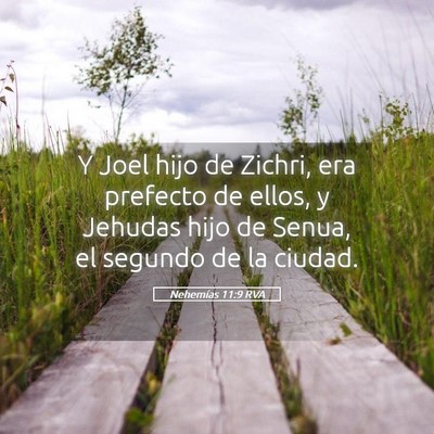 Picture 05 - Nehemías 11:9 RVA - Y Joel hijo de Zichri, era prefecto de ellos, y - Bible Verse Picture