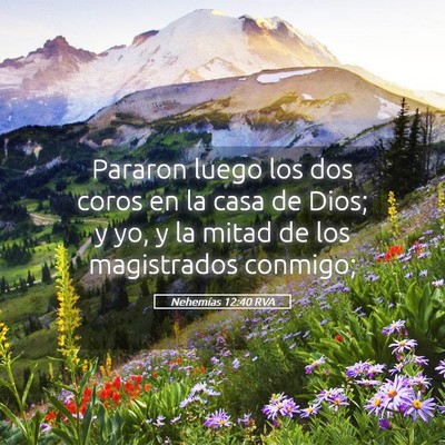 Picture 05 - Nehemías 12:40 RVA - Pararon luego los dos coros en la casa de Dios; y - Bible Verse Picture