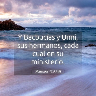 Picture 05 - Nehemías 12:9 RVA - Y Bacbucías y Unni, sus hermanos, cada cual en - Bible Verse Picture