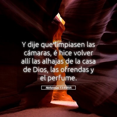 Picture 05 - Nehemías 13:9 RVA - Y dije que limpiasen las cámaras, é hice volver - Bible Verse Picture