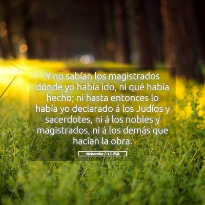 Picture 05 - Nehemías 2:16 RVA - Y no sabían los magistrados dónde yo había - Bible Verse Picture