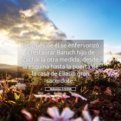 Picture 05 - Nehemías 3:20 RVA - Después de él se enfervorizó á restaurar - Bible Verse Picture