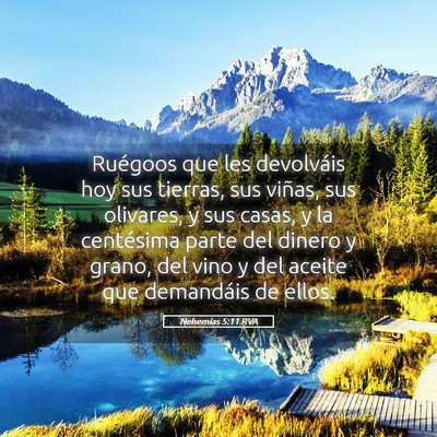 Picture 05 - Nehemías 5:11 RVA - Ruégoos que les devolváis hoy sus tierras, sus - Bible Verse Picture