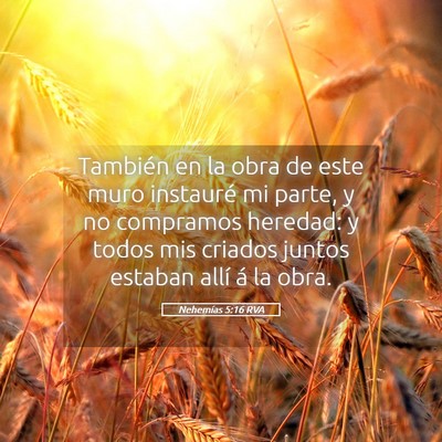 Picture 05 - Nehemías 5:16 RVA - También en la obra de este muro instauré mi - Bible Verse Picture